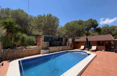 Resale - Finca / Country Property - Orihuela - Torremendo