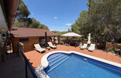 Resale - Finca / Country Property - Orihuela - Torremendo