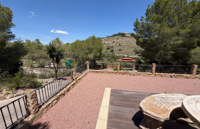 Resale - Finca / Country Property - Orihuela - Torremendo