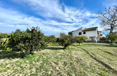 Resale - Detached Villa - Benejúzar - Comunidad Valenciana