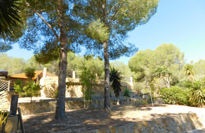 Resale - Finca / Country Property - Torremendo