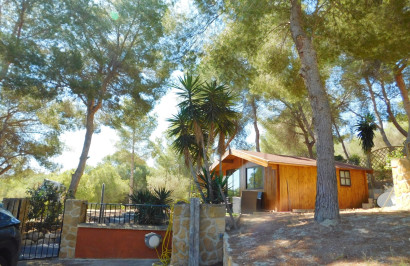 Resale - Finca / Country Property - Torremendo