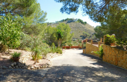 Resale - Finca / Country Property - Torremendo