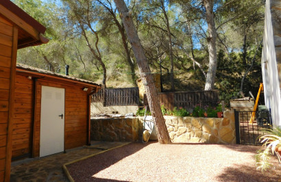 Resale - Finca / Country Property - Torremendo