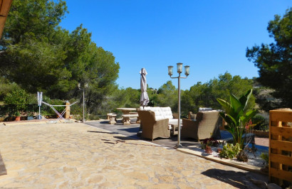 Resale - Finca / Country Property - Torremendo
