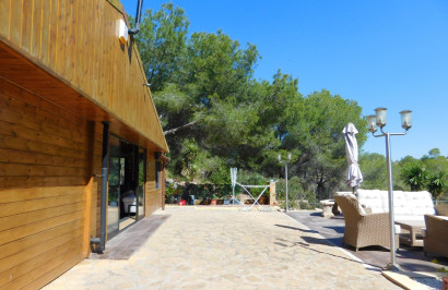 Resale - Finca / Country Property - Torremendo