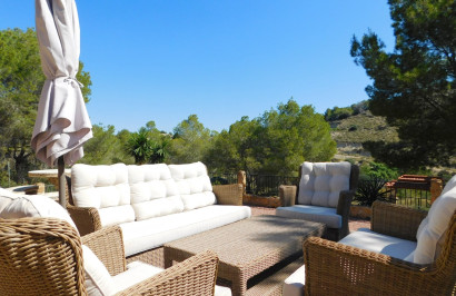 Resale - Finca / Country Property - Torremendo
