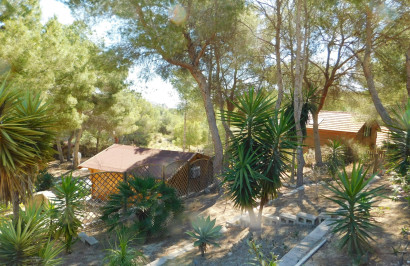 Resale - Finca / Country Property - Torremendo