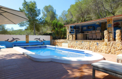 Resale - Finca / Country Property - Torremendo