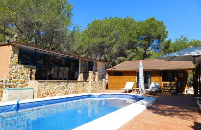 Resale - Finca / Country Property - Torremendo