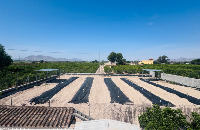 Resale - Finca / Country Property - Albatera
