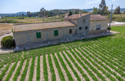 Resale - Finca / Country Property - Orihuela - Desamparados-Hurchillo-Torremendo