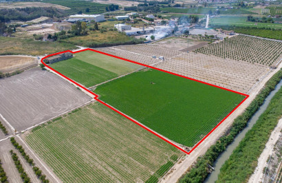 Resale - Finca / Country Property - Orihuela - Desamparados-Hurchillo-Torremendo