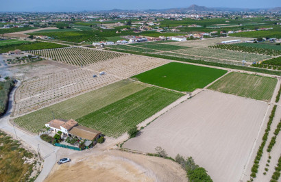 Resale - Finca / Country Property - Orihuela - Desamparados-Hurchillo-Torremendo