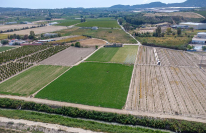Resale - Finca / Country Property - Orihuela - Desamparados-Hurchillo-Torremendo