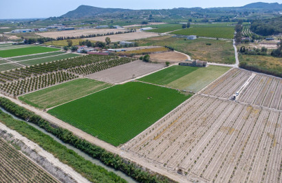 Resale - Finca / Country Property - Orihuela - Desamparados-Hurchillo-Torremendo