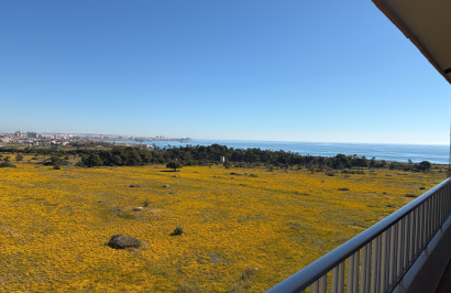 Resale - Apartment / Flat - Torrevieja - Punta Prima