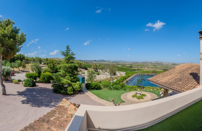 Resale - Finca / Country Property - San Miguel de Salinas - Torremendo