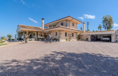 Resale - Finca / Country Property - San Miguel de Salinas - Torremendo