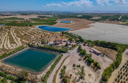 Resale - Finca / Country Property - San Miguel de Salinas - Torremendo