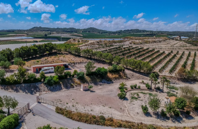 Resale - Finca / Country Property - San Miguel de Salinas - Torremendo