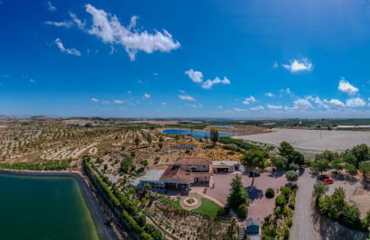 Resale - Finca / Country Property - San Miguel de Salinas - Torremendo
