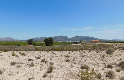 Resale - Plot / Land - Fortuna - Fortuna (murcia)