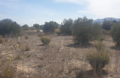 Resale - Plot / Land - Benferri - HUERTA PUEBLO