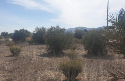 Resale - Plot / Land - Benferri - HUERTA PUEBLO