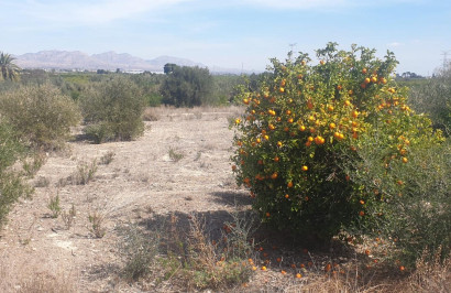 Resale - Plot / Land - Benferri - HUERTA PUEBLO