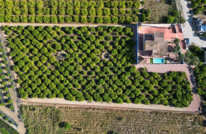 Resale - Detached Villa - Orihuela - CAMPO