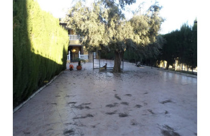 Reventa - Villa independiente - Orihuela - CAMPO