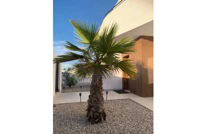 Resale - Detached Villa - Ciudad Quesada - Rojales