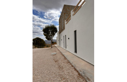 New Build - Detached Villa - Pinoso - Casas Pastor