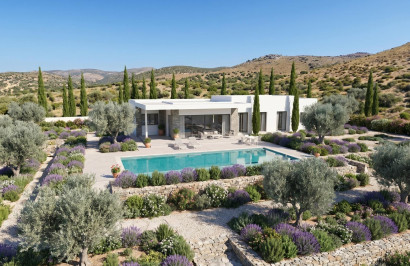 New Build - Detached Villa - Pinoso - Casas Pastor