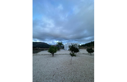 New Build - Detached Villa - Pinoso - Casas Pastor