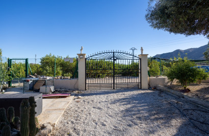 Revente - Finca / Propriété de campagne - Orihuela - La Matanza