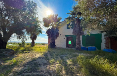 Herverkoop - Finca / Landgoed - Guardamar del Segura