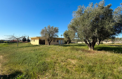 Herverkoop - Finca / Landgoed - Guardamar del Segura