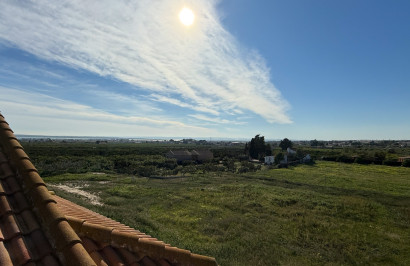 Herverkoop - Finca / Landgoed - Guardamar del Segura
