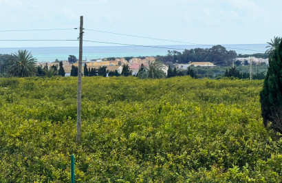 Herverkoop - Finca / Landgoed - Guardamar del Segura