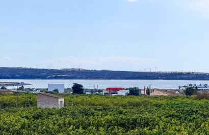 Herverkoop - Finca / Landgoed - Guardamar del Segura