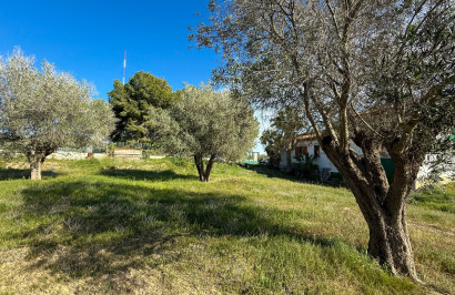 Herverkoop - Finca / Landgoed - Guardamar del Segura
