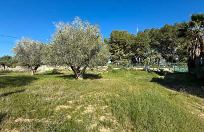 Herverkoop - Finca / Landgoed - Guardamar del Segura