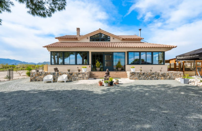 Resale - Detached Villa - Puerto Lumbreras - Esparragal de Puerto Lumbreras