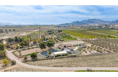 Resale - Detached Villa - Puerto Lumbreras - Esparragal de Puerto Lumbreras