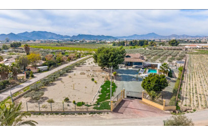 Resale - Detached Villa - Puerto Lumbreras - Esparragal de Puerto Lumbreras