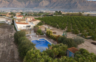 Reventa - Finca / Propiedad de Campo - Orihuela