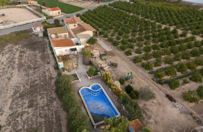 Reventa - Finca / Propiedad de Campo - Orihuela