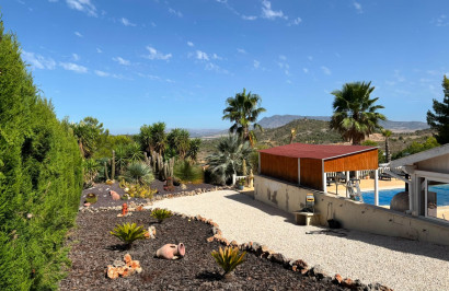 Resale - Detached Villa - La Zarza - Inland